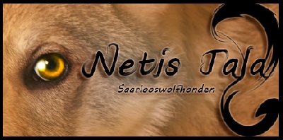 Netis Tala
